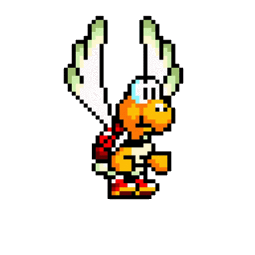 Flying Turtle
